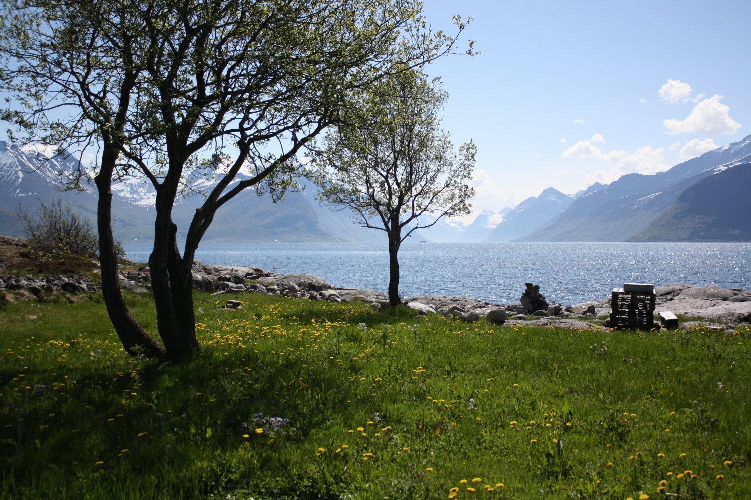 Sunde Fjord Hotel, Free And Easy Parking Solavagen エクステリア 写真
